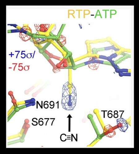 September 2022 News | Molecular Biophysics And Biochemistry