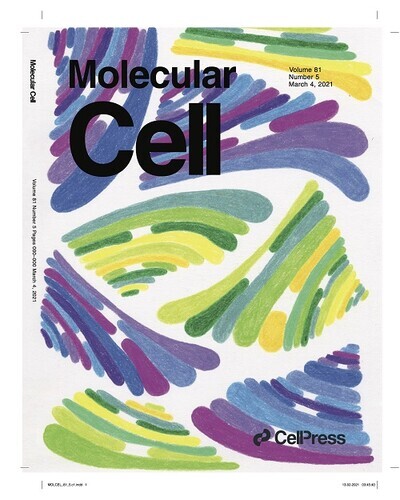 March 4th issue of Molecular Cell cover art by Kirsten Reimer